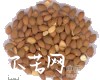 中药大全